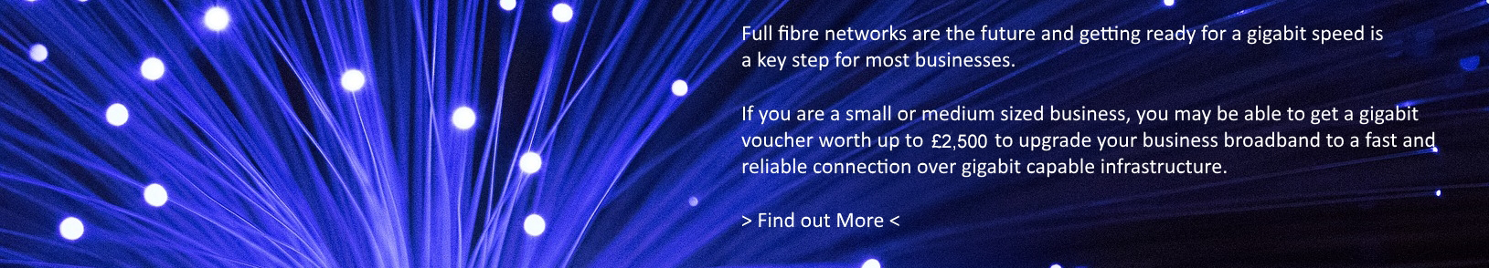 gigabit voucher scheme